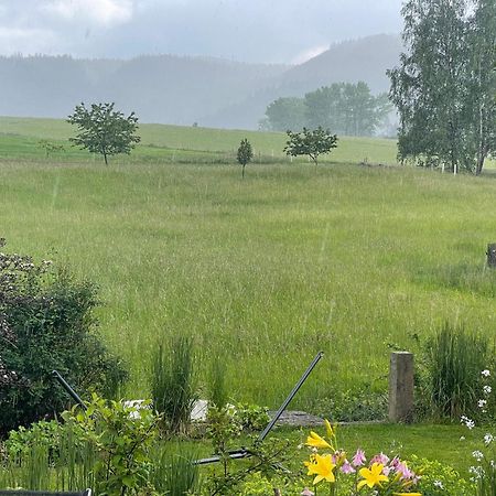 Chalupa U Broumovskych Sten Villa Božanov Dış mekan fotoğraf
