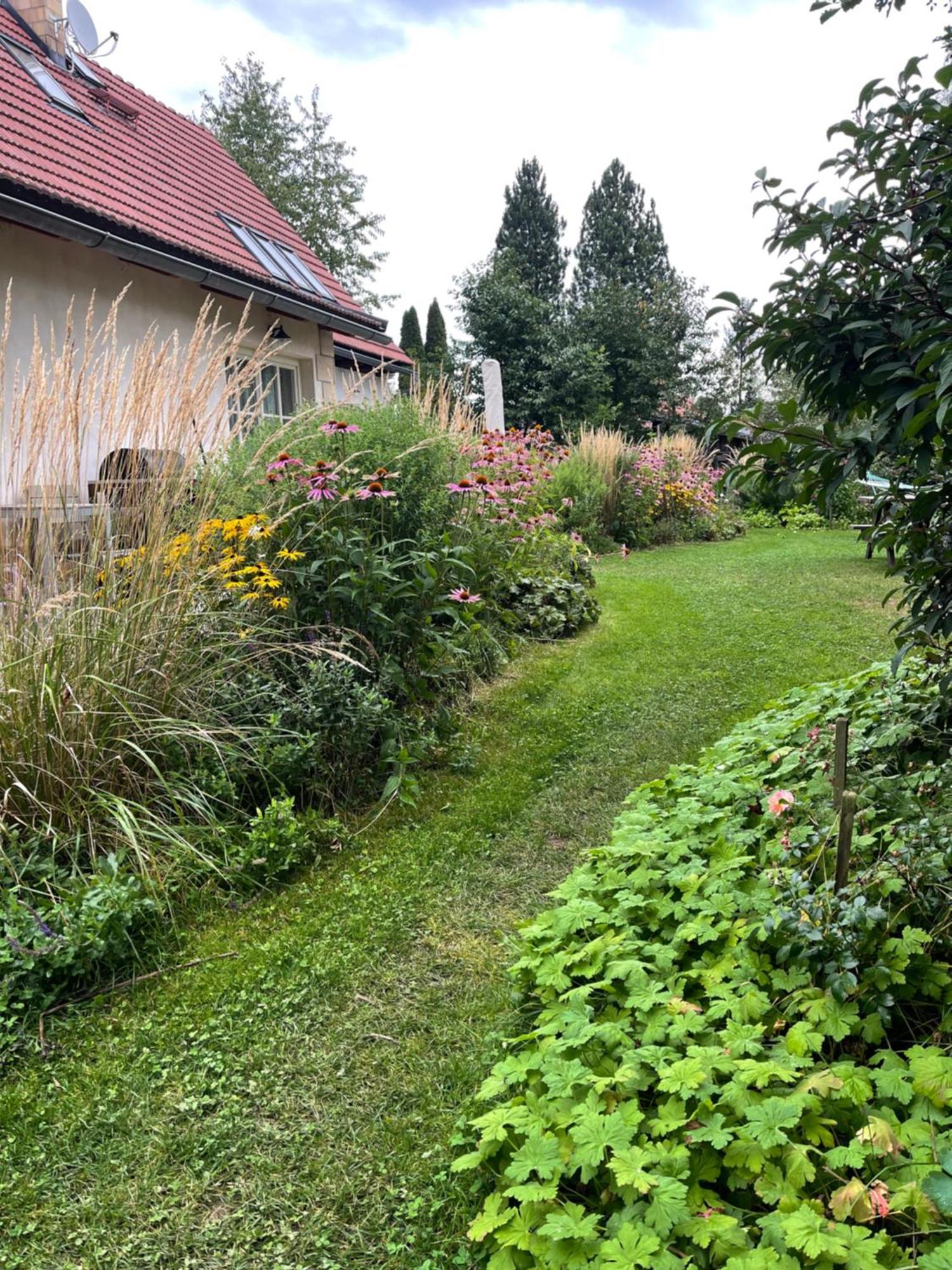 Chalupa U Broumovskych Sten Villa Božanov Dış mekan fotoğraf