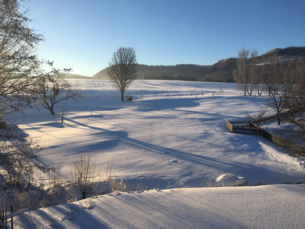 Chalupa U Broumovskych Sten Villa Božanov Dış mekan fotoğraf